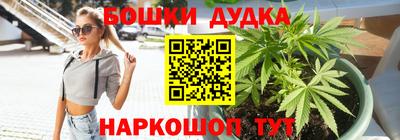 гашик Кинель