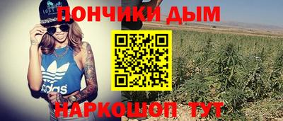 гашик Кинель