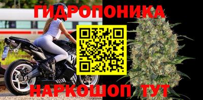 дживик Кимры